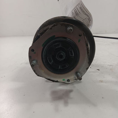 Passenger Right Strut Fits 18-22 Ford Ecosport OEM