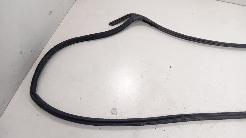 Honda Civic On Door Seal Rubber Left Rear Back 2013 2014 2015 OEM