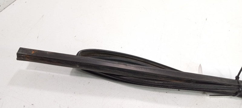 Toyota Camry Door Glass Window Seal Rubber Left Rear Back 2007 2008 2009