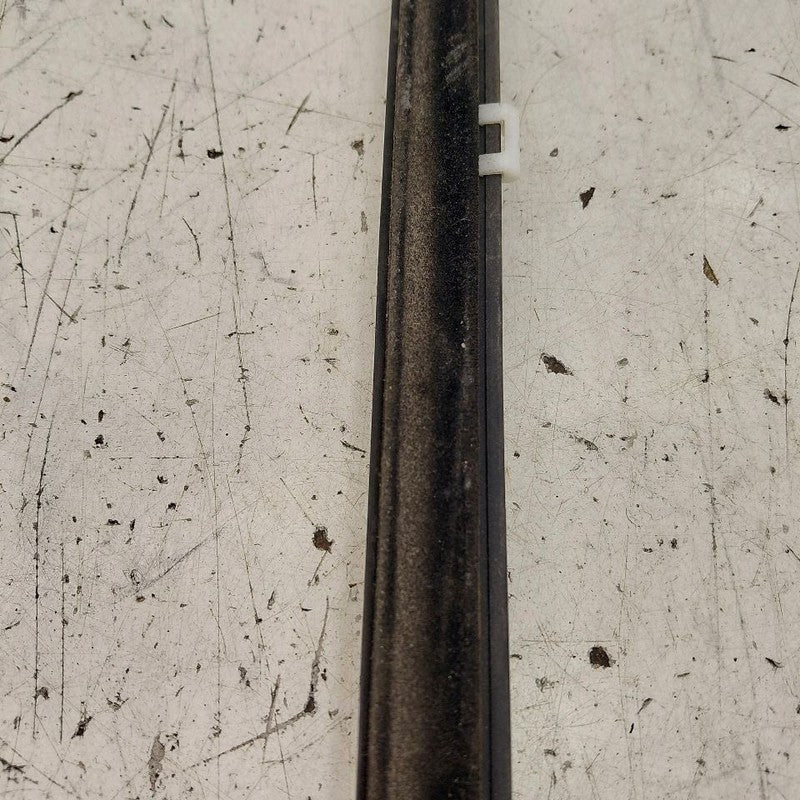Kia Sorento Door Glass Window Weather Strip Trim Rear Left Driver Back