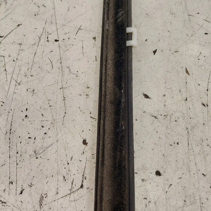 Kia Sorento Door Glass Window Weather Strip Trim Rear Left Driver Back