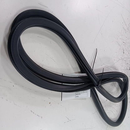 Jeep Compass On Body Door Jamb Seal Rear Left Back  2021 2020 2019 2018 