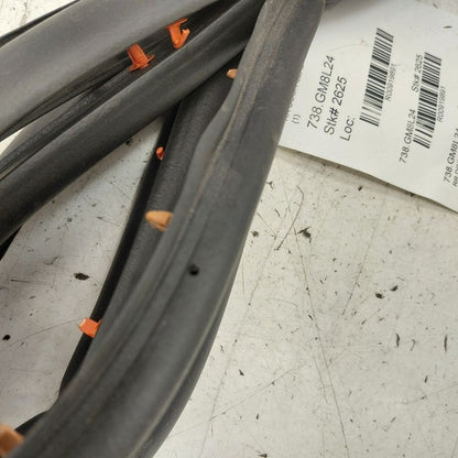 Chevy Equinox On Door Seal Rubber Right Passenger Rear Back  2024 2023