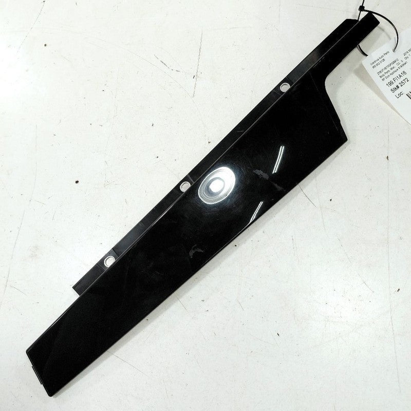 Fiat 500 Passenger Right Front Door Applique {51939941} 2016 2017 2018