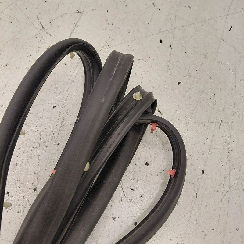 Chevy Volt On Door Seal Rubber Left Driver Front  2016 2017 2018 2019