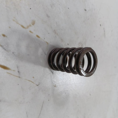 Jeep Compass 2.4 Cylinder Head Intake Valve Spring 2017 2018 2019 2020