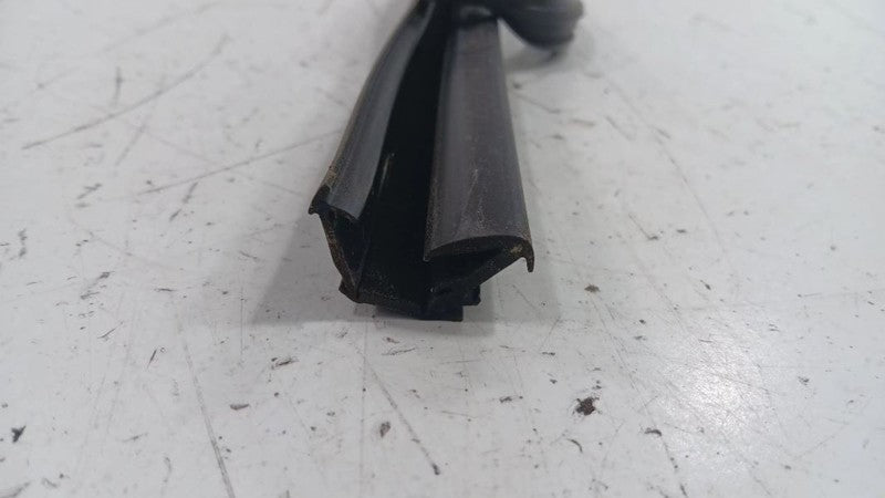 Infiniti G37 Door Glass Window Seal Rubber Left Rear Back  2009 2010 2011