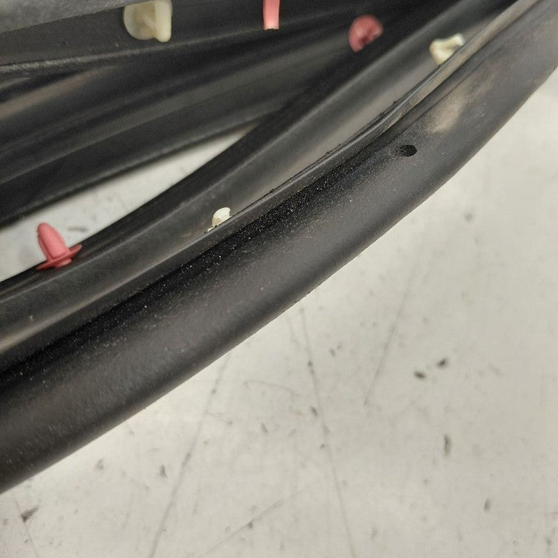 Chevy Volt On Door Seal Rubber Left Driver Front  2016 2017 2018 2019