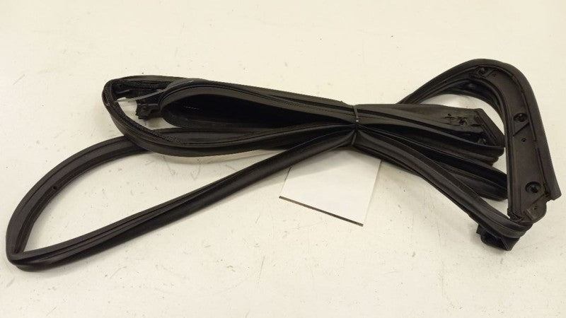 Infiniti G37 On Door Seal Rubber Left Rear Back 2010 2011 2012 2013