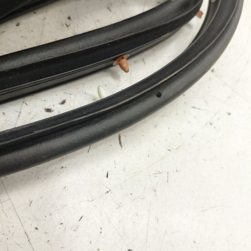 Chevy Equinox On Door Seal Rubber Right Passenger Front  2024 2023 202