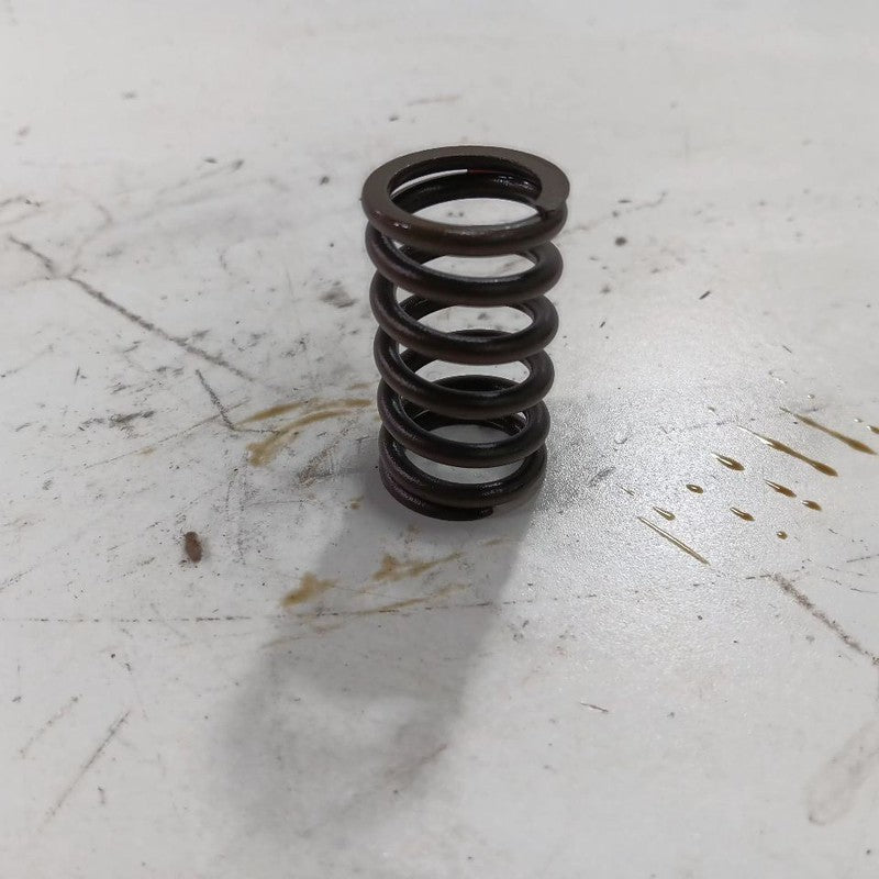 Jeep Compass 2.4 Cylinder Head Intake Valve Spring 2017 2018 2019 2020
