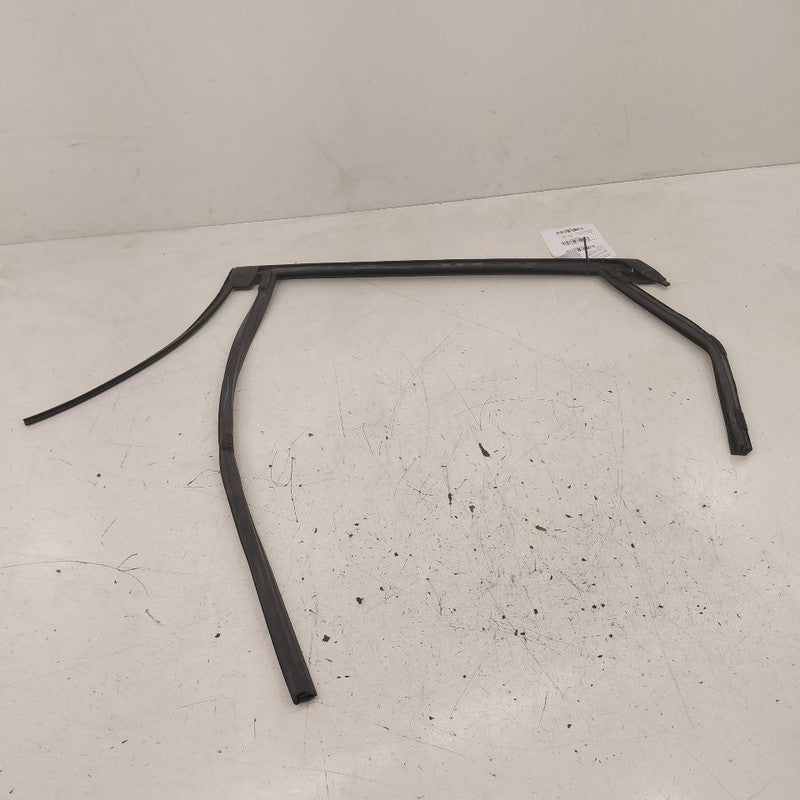 Ford Edge Door Glass Window Seal Rubber Right Passenger Rear Back 2019