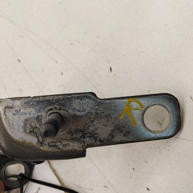 Ford Escape Door Hinge Set Right Front Passenger  2022 2023 2024