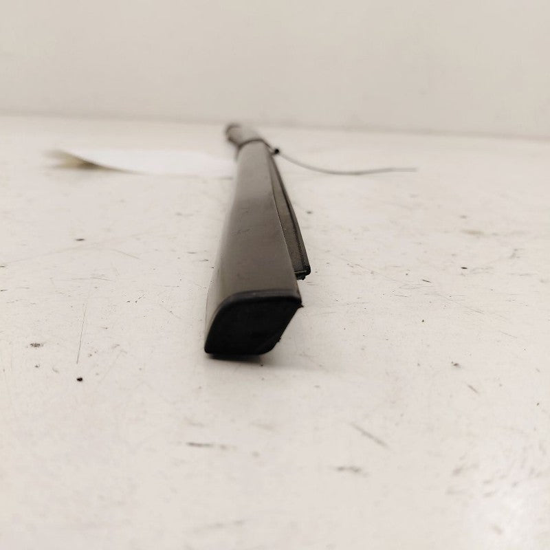 Buick Encore GX Door Glass Window Weather Strip Trim Rear Left Driver 