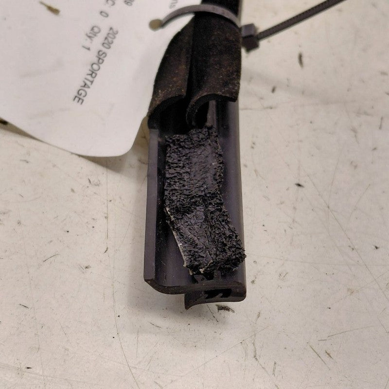 Kia Sportage Left Rear Weather Strip Interior  2020 2021 2022