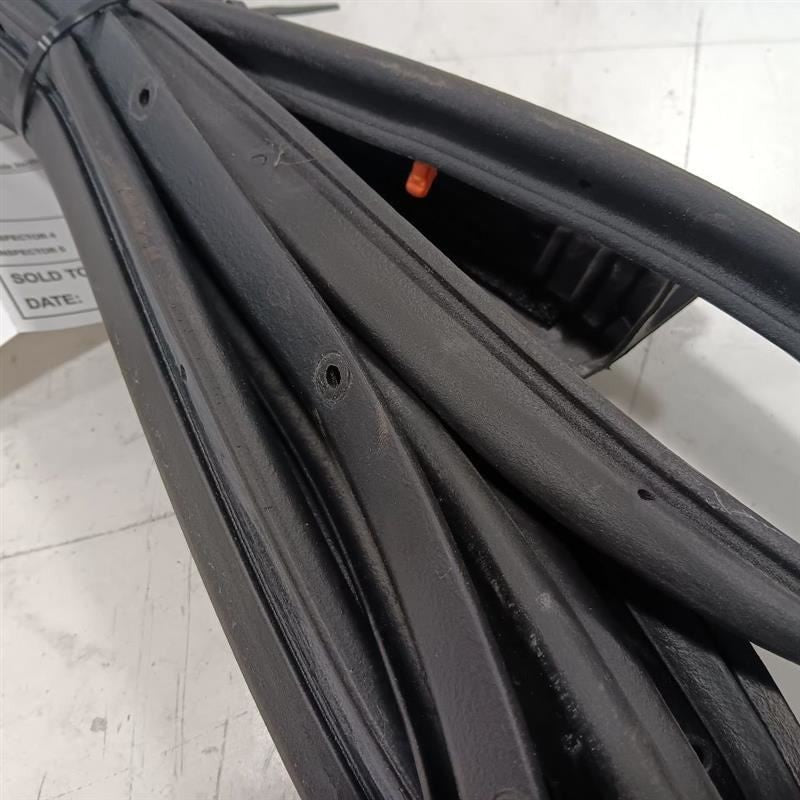 Nissan LEAF On Door Seal Rubber Left Rear Back  2013 2014 2015 2016 2017