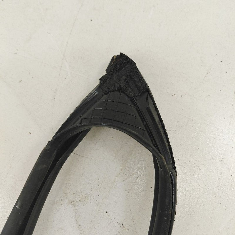 Honda CR-V Door Glass Window Seal Rubber Left Driver Front  2017 2018 