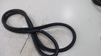 Buick Encore On Body Door Jamb Seal Rear Right Passenger Back  2013 2014 2015 20