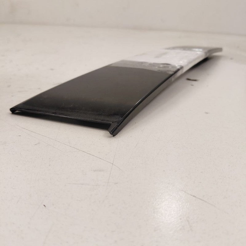 Hyundai Santa Fe Driver Left Front Door Applique {82250S1000} 2019 202