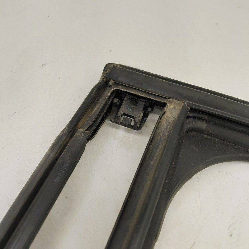 Chevy Trailblazer Door Glass Window Seal Rubber Left Driver Rear Back 