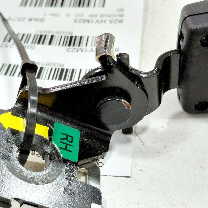 Hyundai Elantra Seat Belt Buckle Latch Right Passenger Rear Back  2024