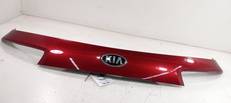 Tail Finish Panel  OEM