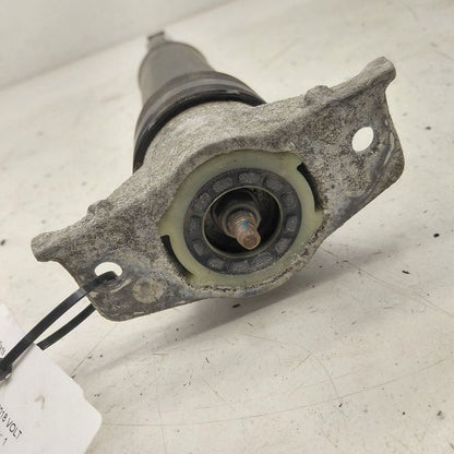 Chevy Volt Passenger Right Rear Shock Absorber 2019 2018 2017 2016
