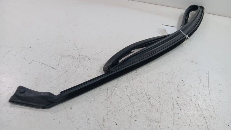 Dodge Dart Door Glass Window Seal Rubber Left Driver Front  2013 2014 2015 2016