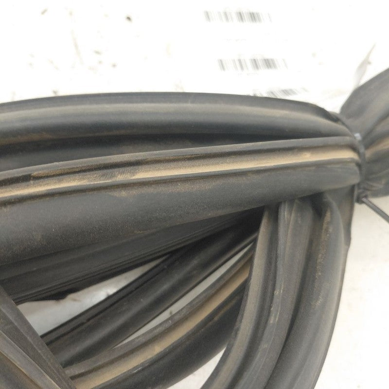 Lexus IS350 On Door Seal Rubber Left Driver Front  2020 2019 2018