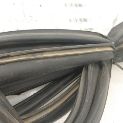 Lexus IS350 On Door Seal Rubber Left Driver Front  2020 2019 2018