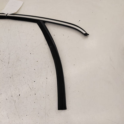 Volvo S60 Door Glass Window Seal Rubber Right Passenger Front  2018 20