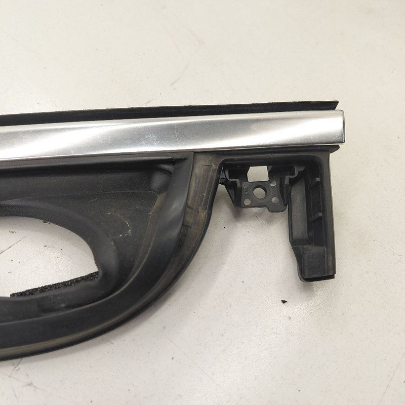 Chevy Volt Door Glass Window Seal Rubber Left Driver Front  2019 2018 