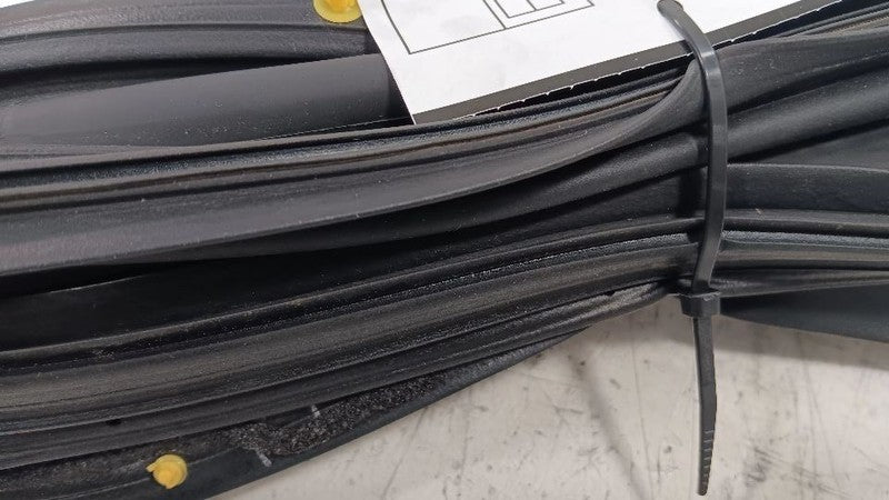 Nissan Maxima On Door Seal Rubber Right Passenger Front  2018 2019 2020