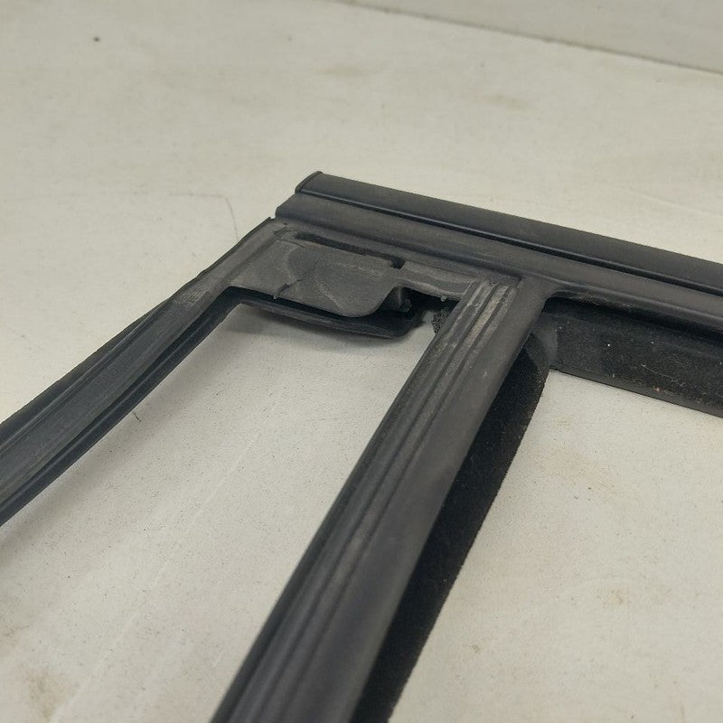 Ford Edge Door Glass Window Seal Rubber Left Driver Rear Back  2019 20