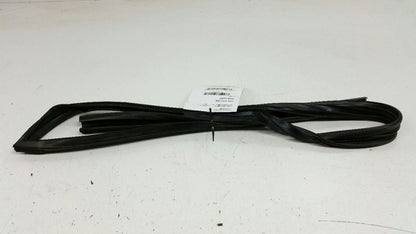  2005 Nissan Altima Door Glass Window Seal Rubber Gasket Right Passenger Front