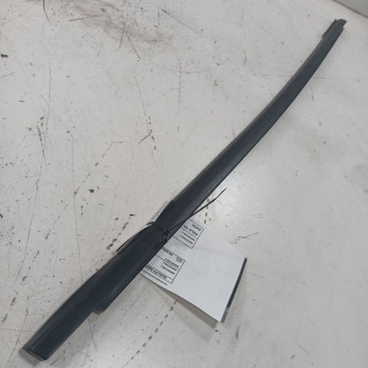 Ford Focus Door Glass Window Weather Strip Trim Front Right Passenger 
