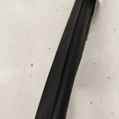 Ford Ecosport Door Glass Window Seal Rubber Left Driver Front  2020 20