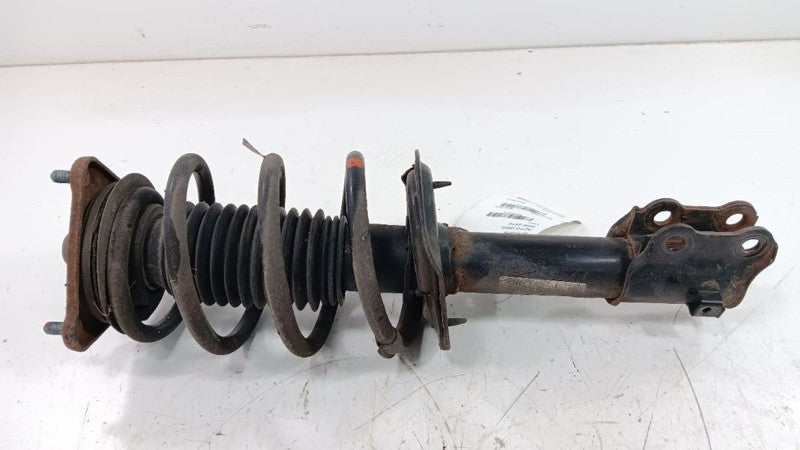 Driver Left Strut Front Fits 14-18 FORTE OEM
