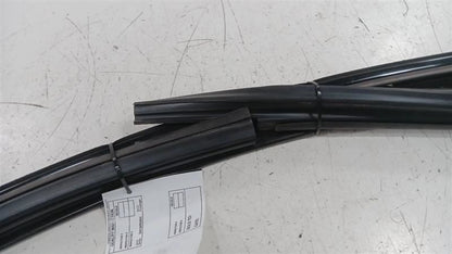 Dodge Dart Door Glass Window Seal Rubber Left Driver Front  2013 2014 