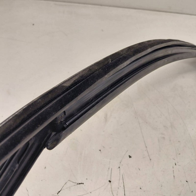 Fiat 500 X Model  Door Glass Window Seal Rubber Right Passenger Front 