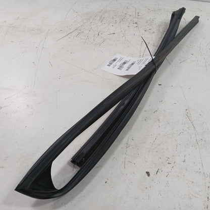 Nissan LEAF Door Glass Window Seal Rubber Left Driver Front  2013 2014 2015 2016