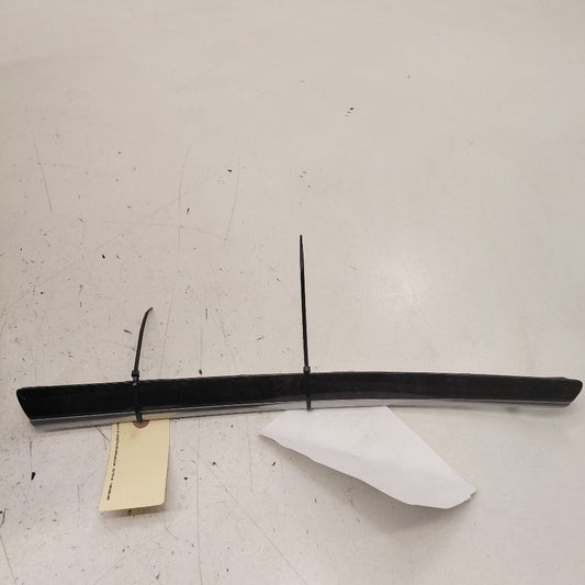Chrysler 300 Passenger Right Rear Door Trim Bezel 2017 2018 2019