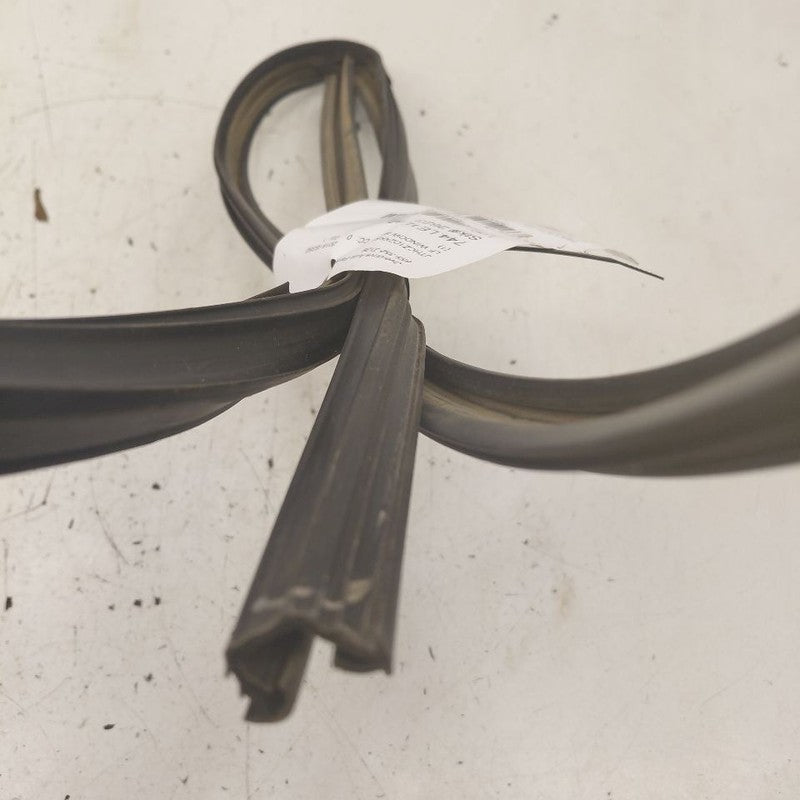 Lexus IS350 Door Glass Window Seal Rubber Left Driver Front  2020 2019