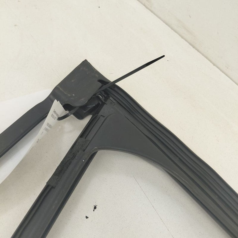 Ford Escape Door Glass Window Seal Rubber Left Driver Front  2020 2021