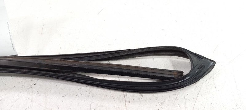 Lexus GS350 Door Glass Window Seal Rubber Left Driver Front 2007 2008 