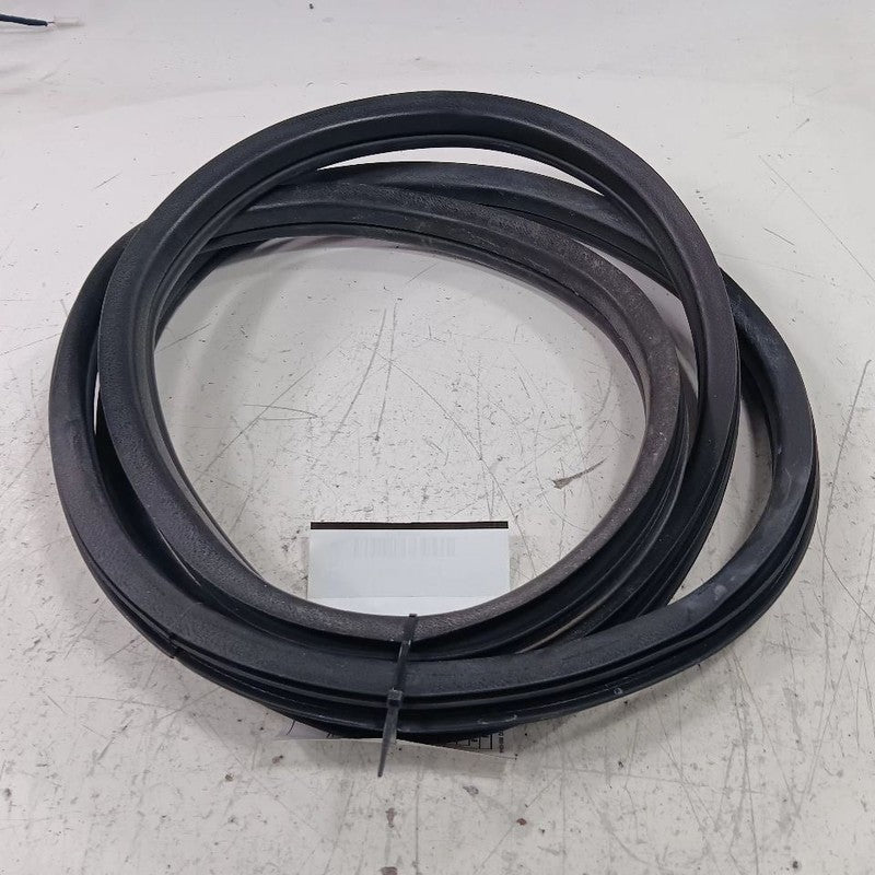Fiat 500 On Body Door Jamb Seal Gasket Front Left Driver 2018 OEM