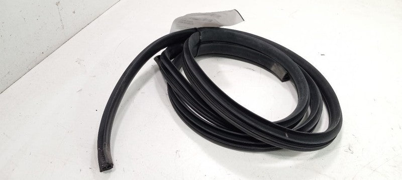 Kia Soul On Body Door Jamb Seal Rear Left Back 2012 2013 OEM