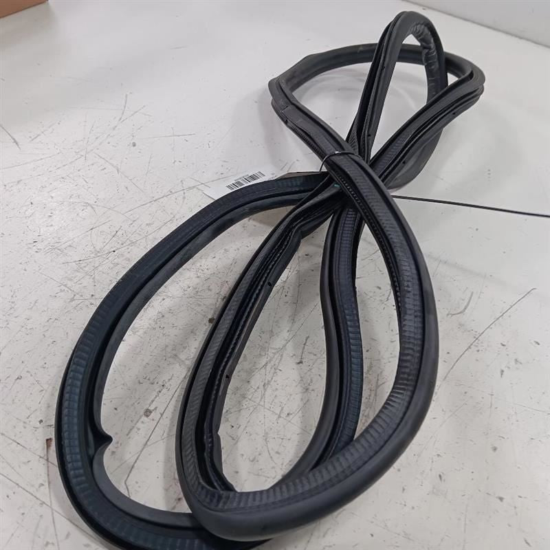 Buick Encore On Body Door Jamb Seal Rear Left Back  2018 2019 2020