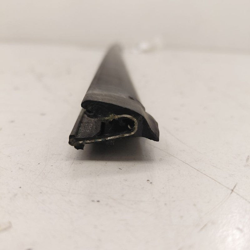 Chevy Volt Door Glass Window Weather Strip Trim Front Right Passenger 