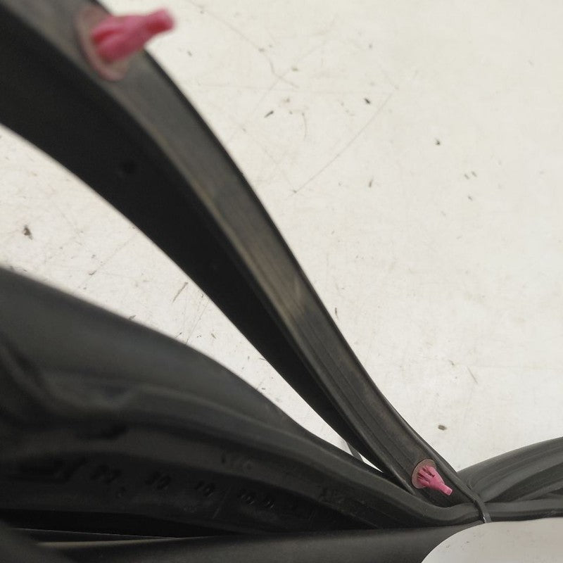 Toyota Prius On Door Seal Rubber Right Passenger Front  2022 2021 2020